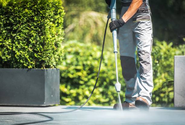 Vinyl Siding Pressure Washing